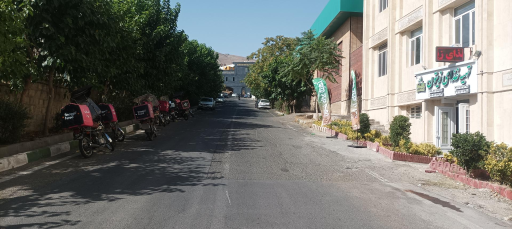 عکس تهیه غذای زیتون