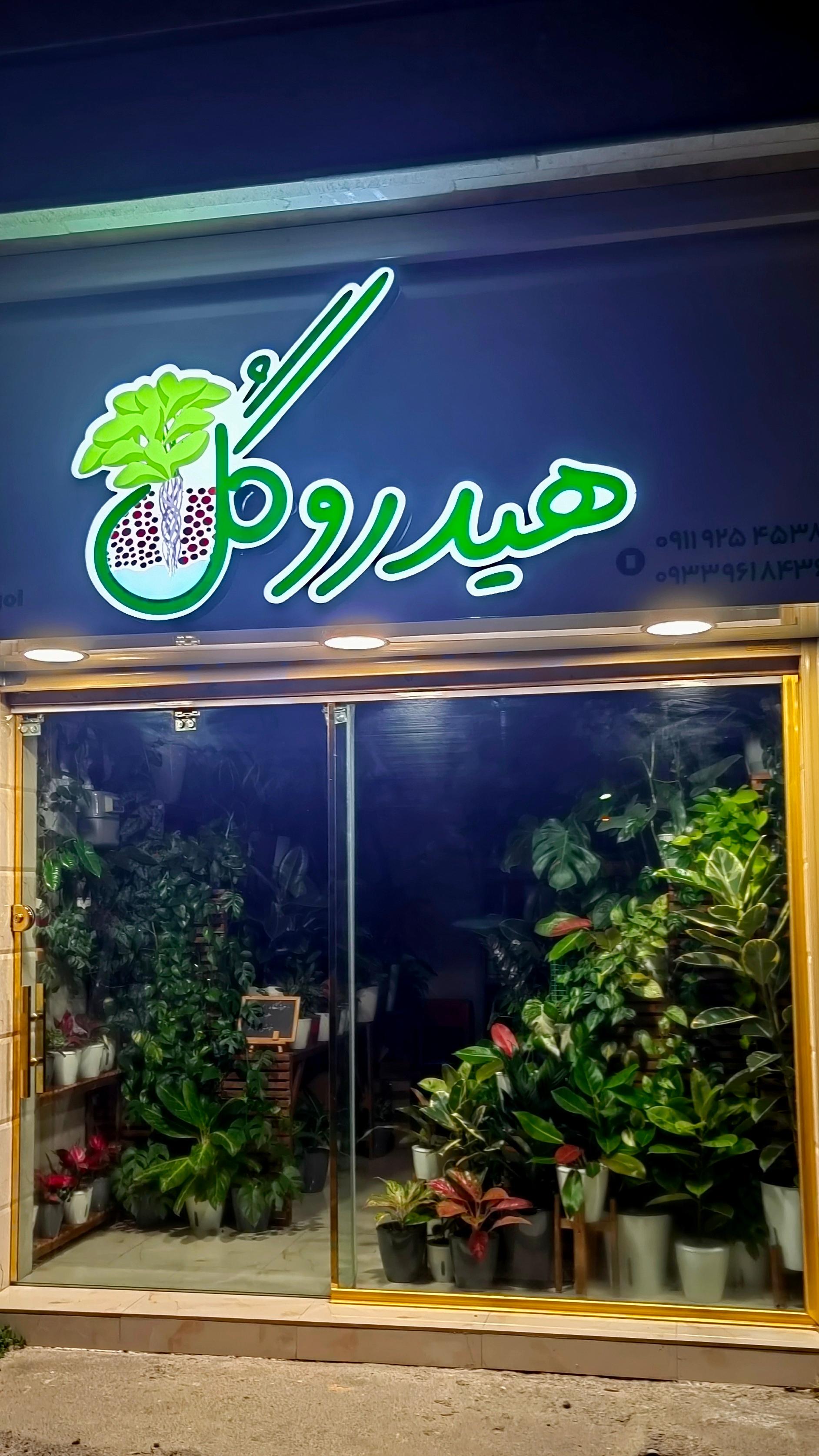 عکس فروشگاه گل و گیاه هیدروگل 