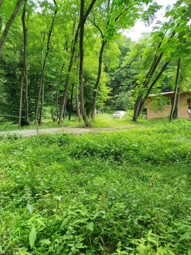 عکس کلبه های جنگلی پارک جوارم