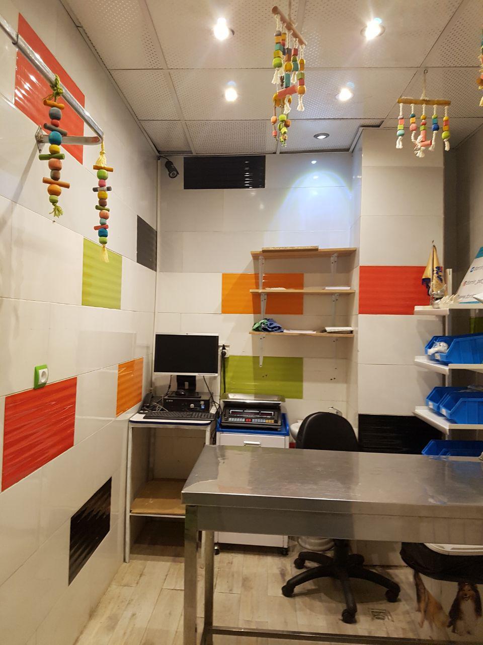 عکس بیمارستان دامپزشکی شبانه روزی درین