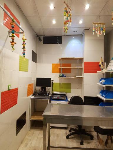 عکس بیمارستان دامپزشکی شبانه روزی درین