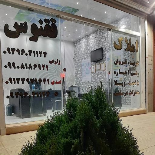 املاک ققنوس