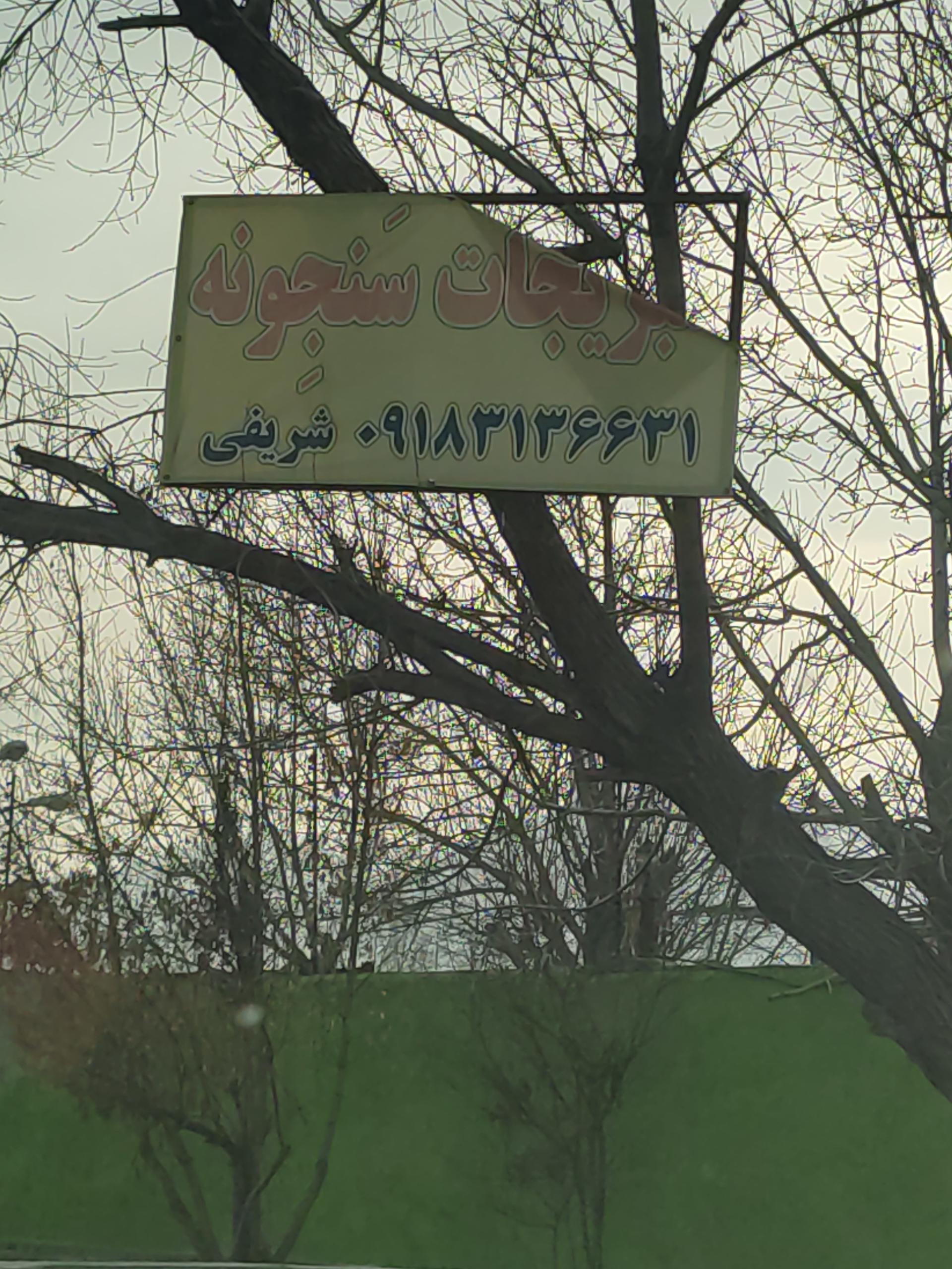 عکس سبزی فروشی سنجونه