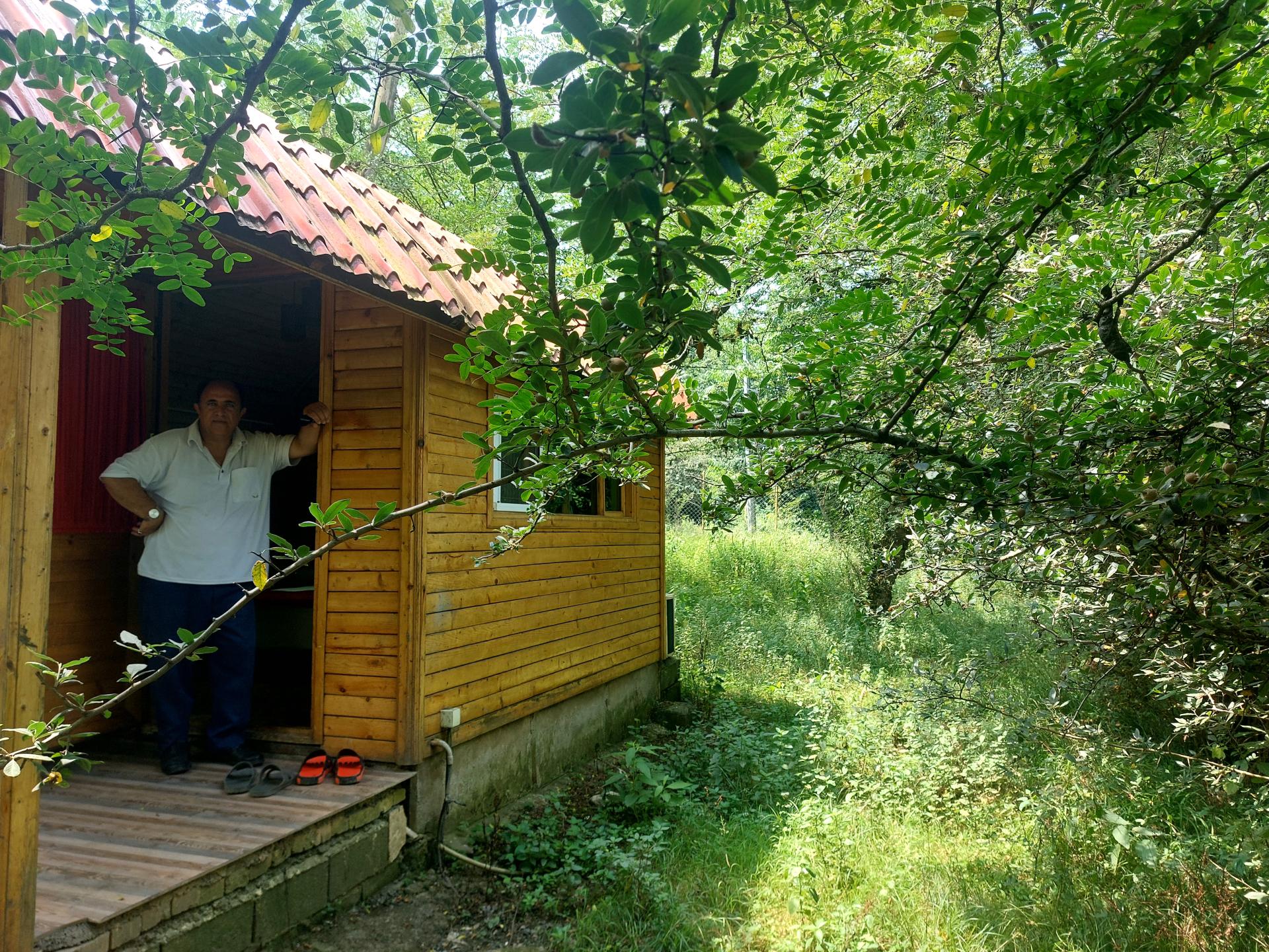 عکس کلبه های جنگلی پارک جوارم