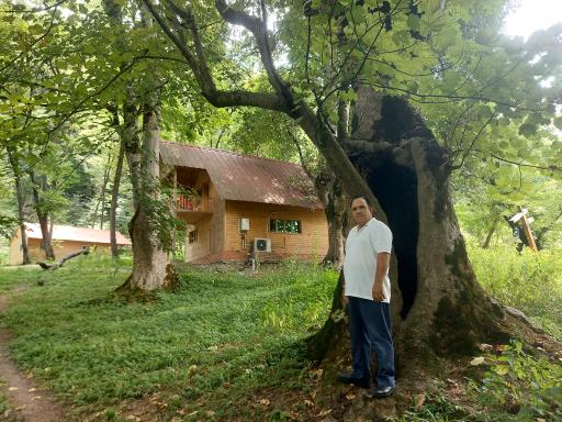 عکس کلبه های جنگلی پارک جوارم