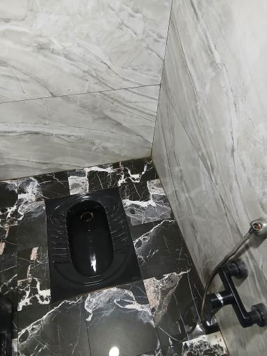 عکس سرویس بهداشتی گلدیس