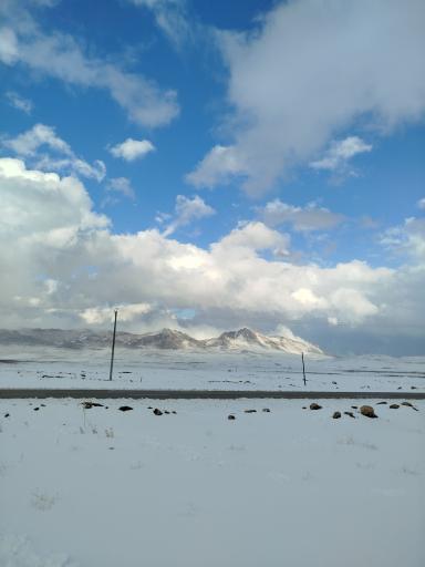عکس شیخ شبان