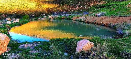 عکس شیخ شبان