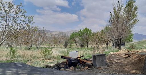 شیخ شبان