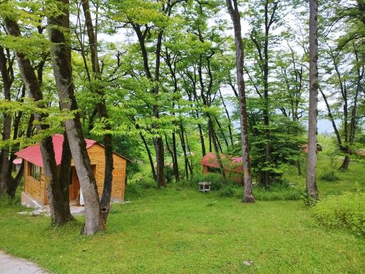 عکس کلبه های جنگلی پارک جوارم