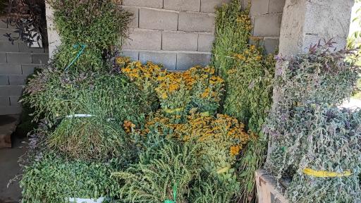 عکس سبزیخانه سینا