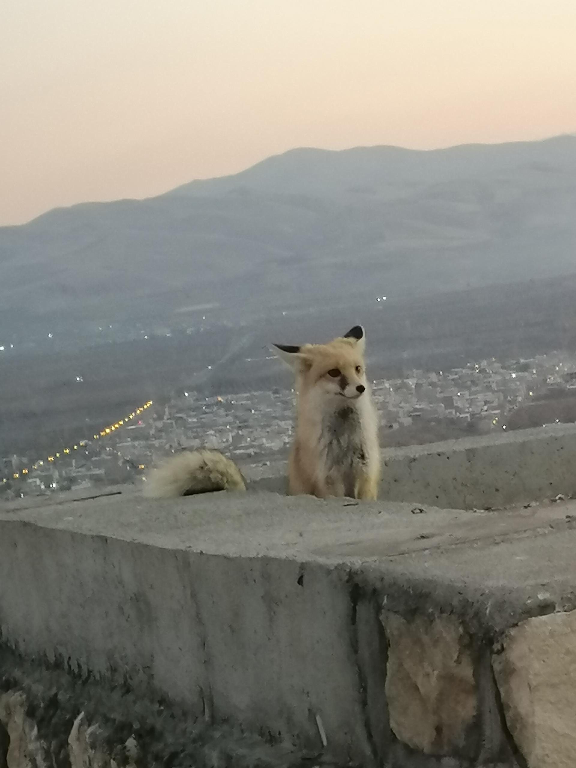 عکس پارک قلاتوک