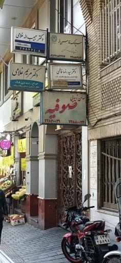 دکتر سید رضا فاطمی