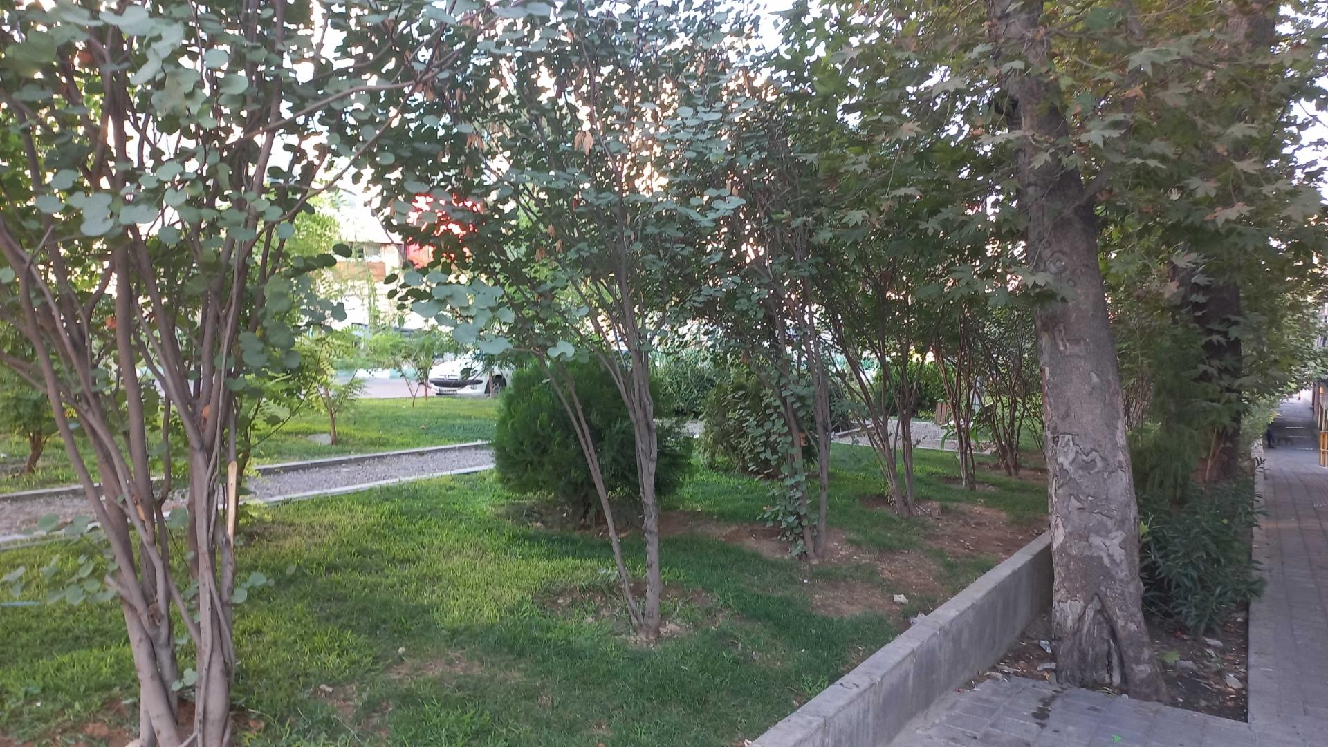 عکس پارک کوچک میرزای شیرازی