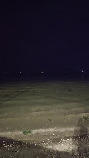 عکس رستوران ساحل 