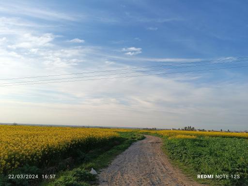 عکس فاضل آباد