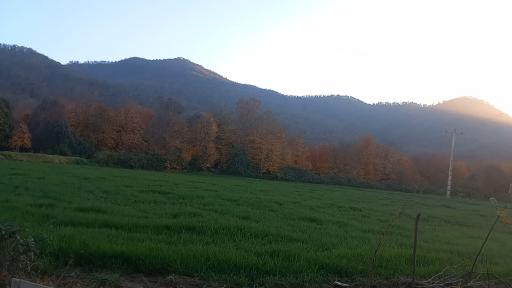 عکس فاضل آباد