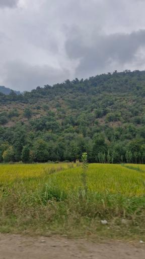 عکس فاضل آباد