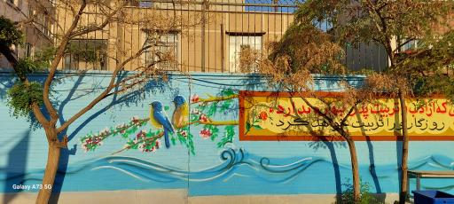 عکس دبیرستان استعداد های درخشان علامه حلی 10