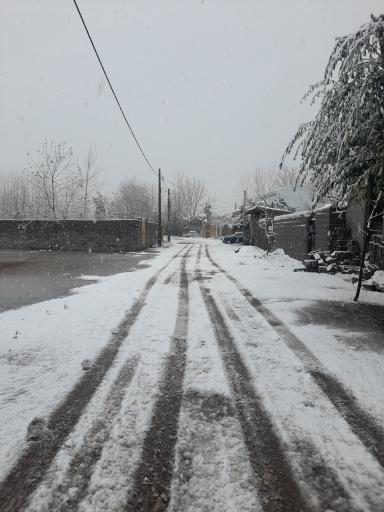 عکس رودکل