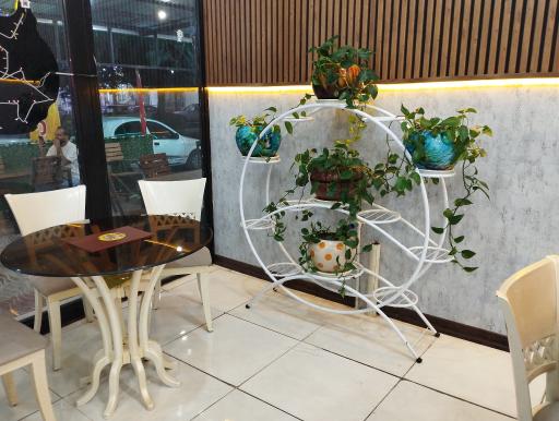 عکس آبمیوه فالوده و بستنی شیرعلی