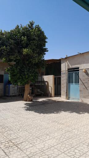 عکس مسجد حضرت ابوالفضل