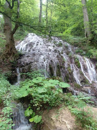 عکس سنگده