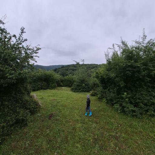 عکس سنگده
