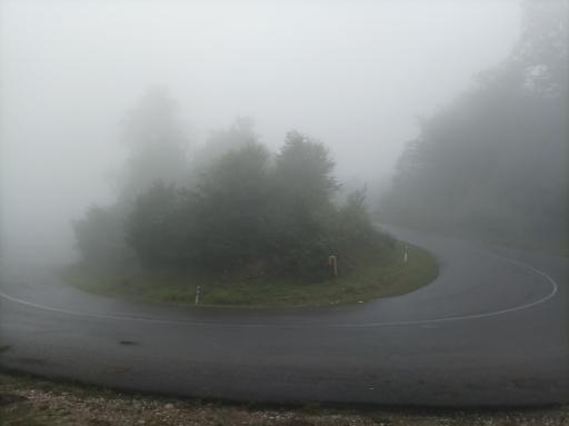 عکس سنگده