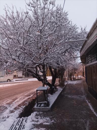 عکس برف انبار