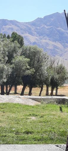 عکس برف انبار