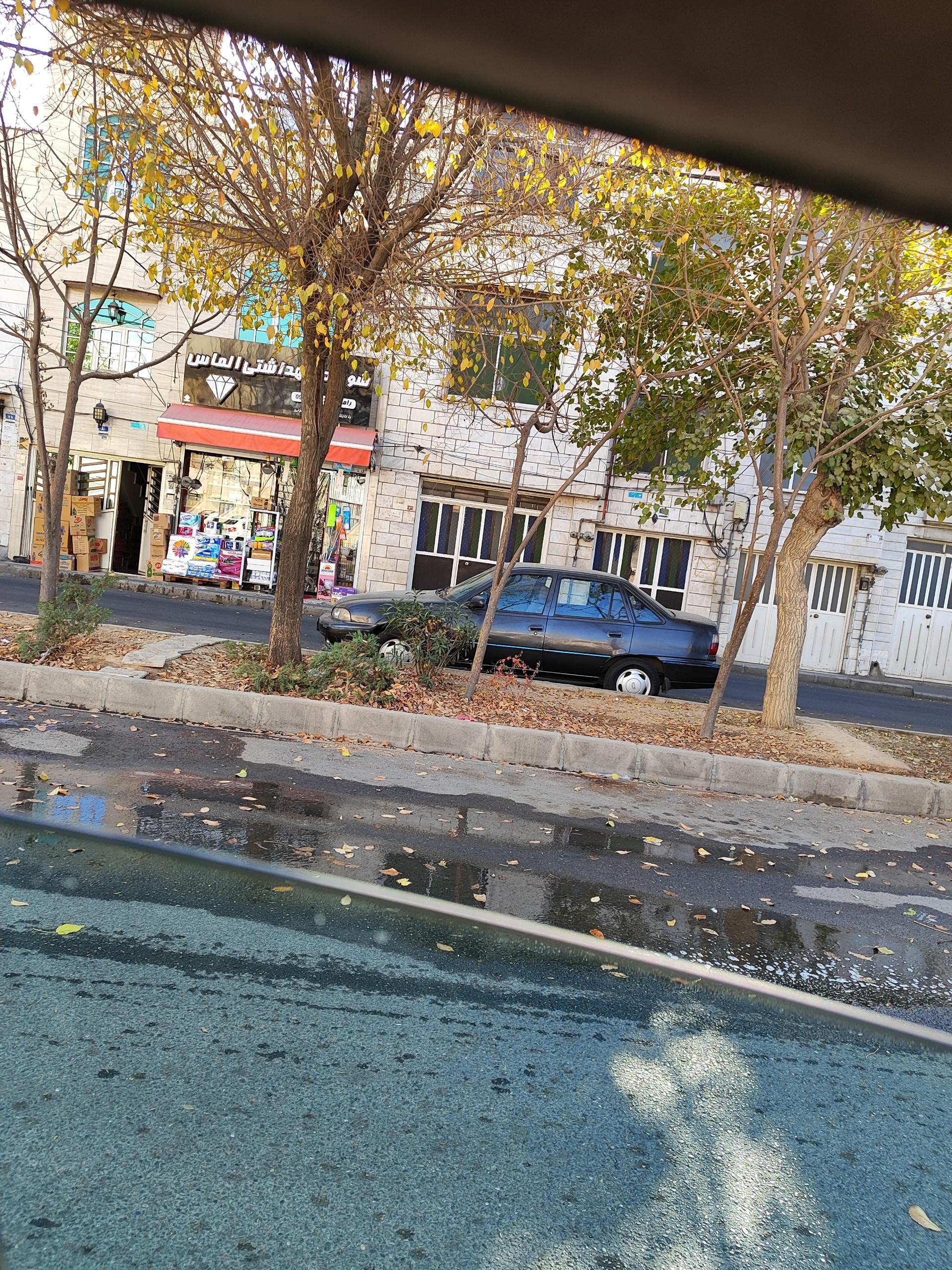 عکس شوینده و بهداشتی الماس