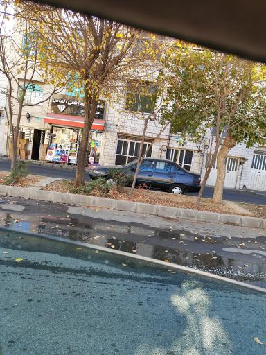 شوینده و بهداشتی الماس