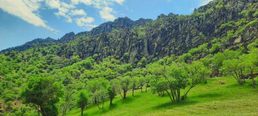 عکس پارک جنگلی دلفان