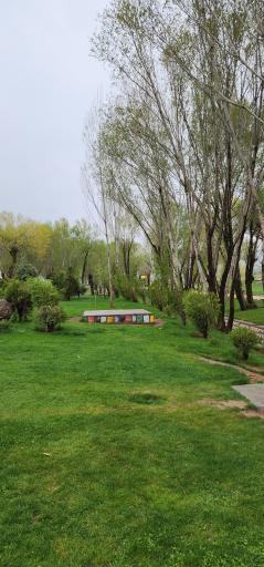 عکس پارک جنگلی دلفان