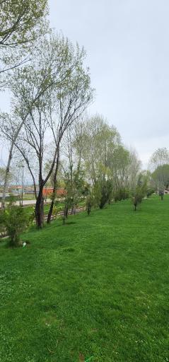 عکس پارک جنگلی دلفان