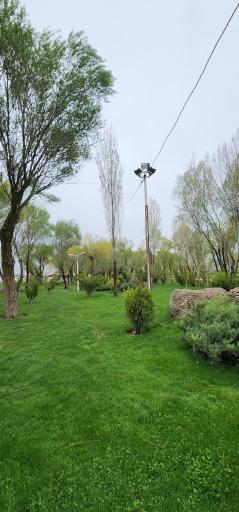 عکس پارک جنگلی دلفان