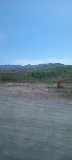 عکس تموغه