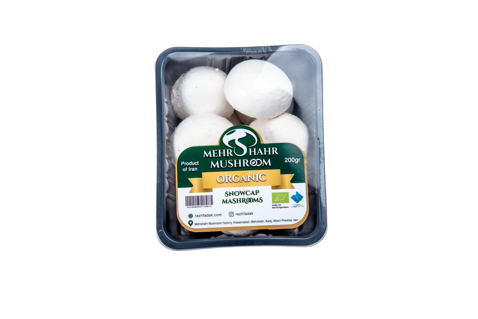 عکس قارچ مهرشهر