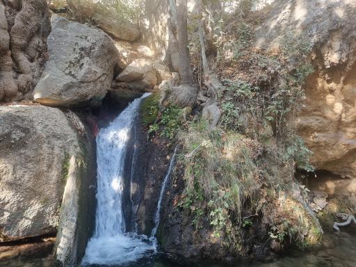 عکس تنگ غوره دان