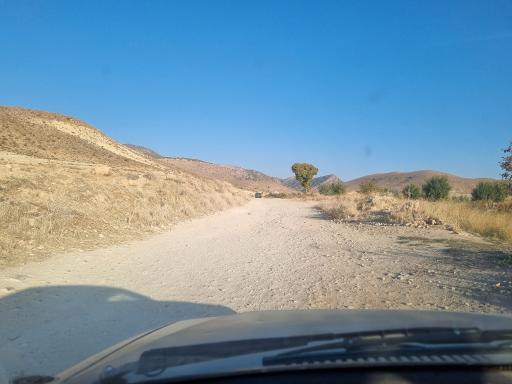 عکس تنگ غوره دان