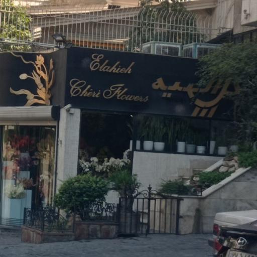 عکس گل الهیه