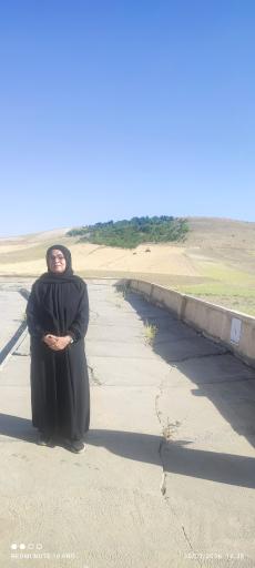 عکس پارک جنگلی دلفان