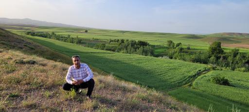 عکس زیوه