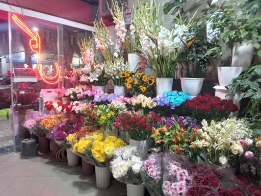 عکس قصر گل تک