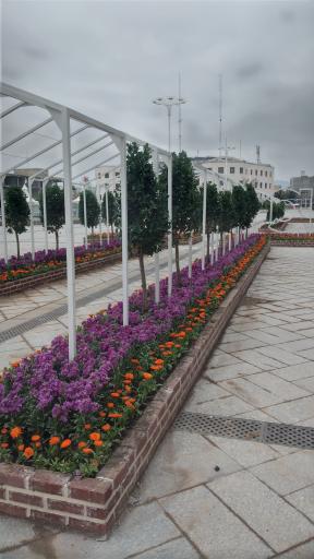 عکس میدان شهدا