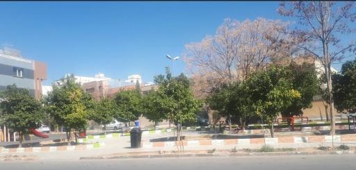 عکس پارک مثلثی(بنفشه)