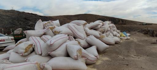 دامداری برومند