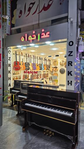 موسیقی عذرخواه