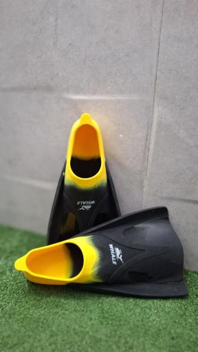 عکس فروشگاه لوازم ورزشی آلپ اسپرت